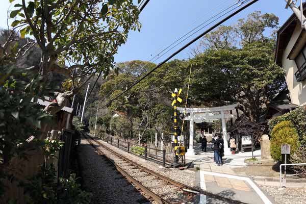 御霊神社と門前をかすめて走る江ノ電。