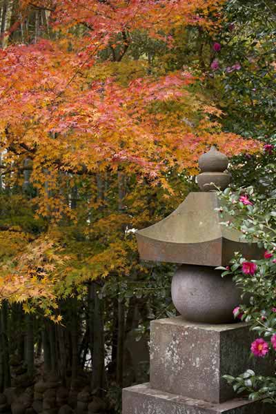 〈王道〉金沢街道をゆく。報国寺の紅葉。