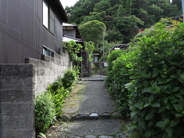 ドラマ『最後から二番目の恋』『続・最後から二番目の恋』の舞台となった長倉家は御霊神社門前にあります。ドラマそのものの景色です。