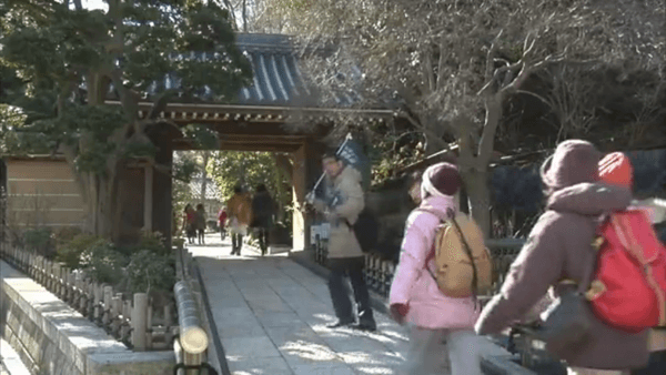 〈11〉報国寺