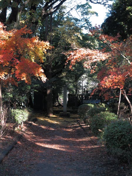 日野俊基墓近くの紅葉。