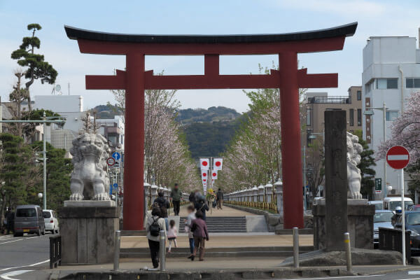 改修工事を終え平成28年3月30日午後から通行可能となった段葛。撮影日4月6日。
