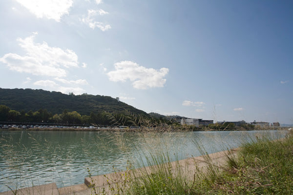 龍馬が水練に励んだ鏡川。