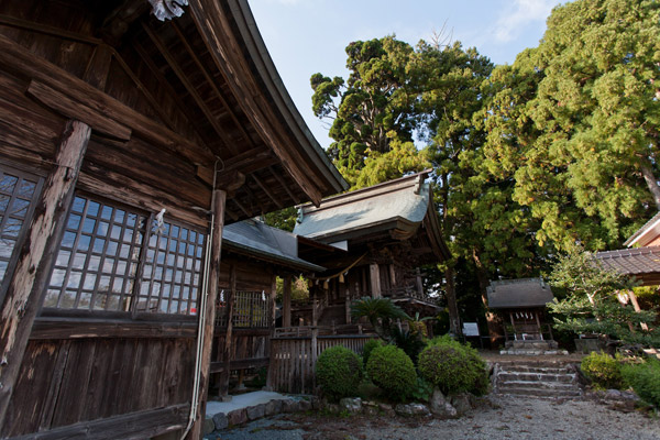 小村神社。参拝したら、本殿背後の燈明杉へ。