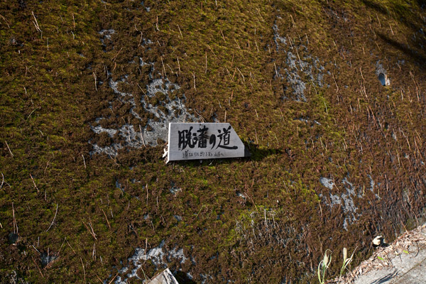 随所に道標があるのは、とてもありがたいです。