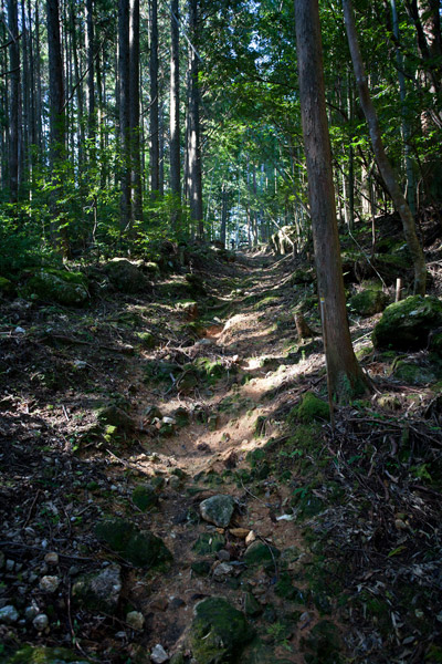 急な登りでしたが、距離は短く救われました。10時1分。