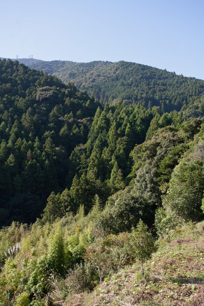 さらに山の奥へと入っていきます。