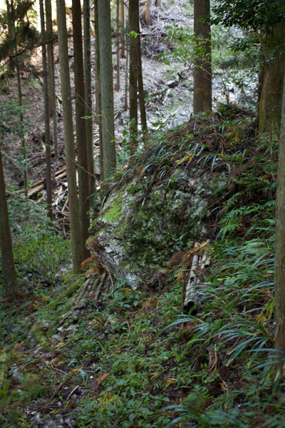 ryouma_2_5-18
