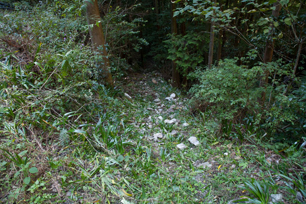 再び山道に入ります。