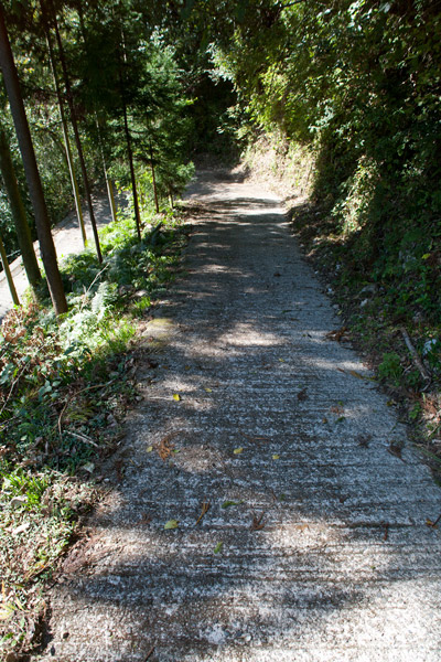 舗装道路になりました。11時15分。