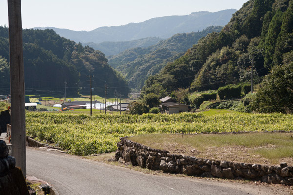 まだ緩やかに下ります。