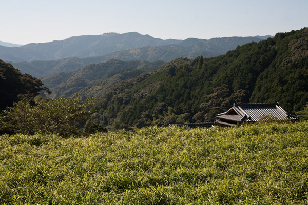峠を越えてほっとしながら、きれいな景色の中を歩きます。