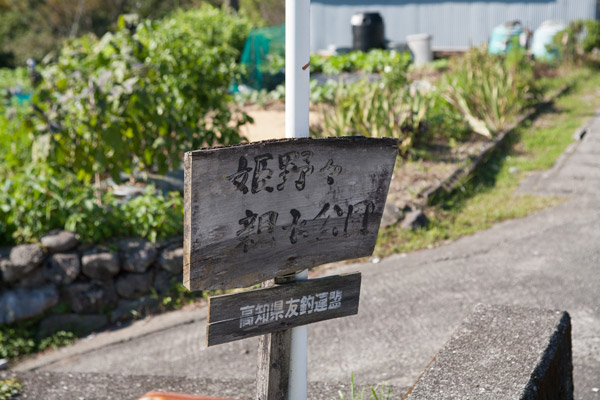 「姫野々親水公園」の立札に誘われて川岸におります。