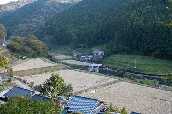 気持ち良い景色。