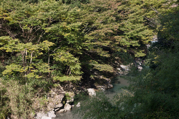 身体はきついですが、景色は抜群です。