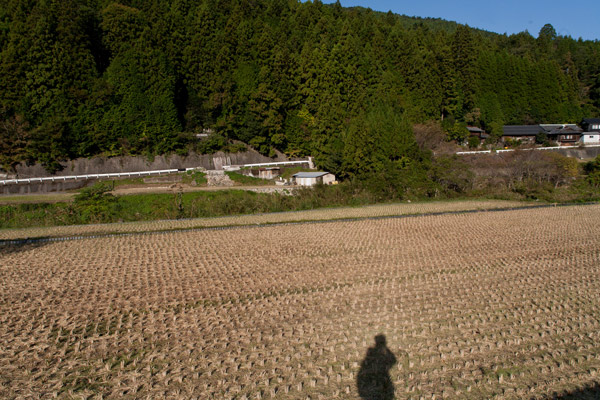 周囲の風景。