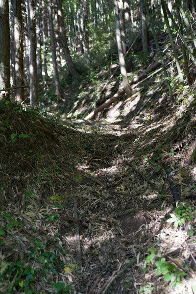 韮ヶ峠へ。