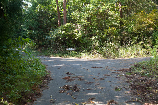 しばし舗装道路。