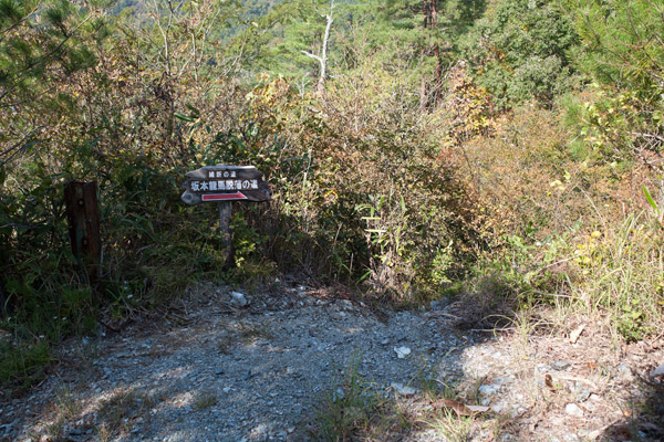 再び山道。12時55分。