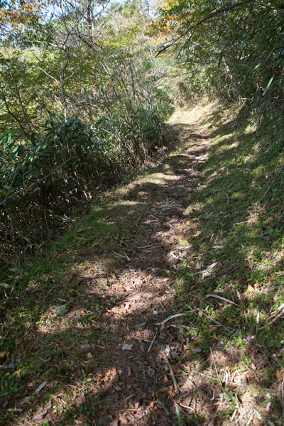 再び山道。