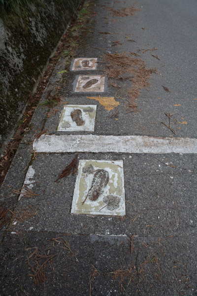 龍馬の足跡だと思います。