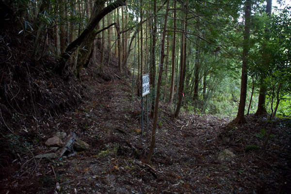 3時19分、分岐に戻り小屋村へと向かいます。