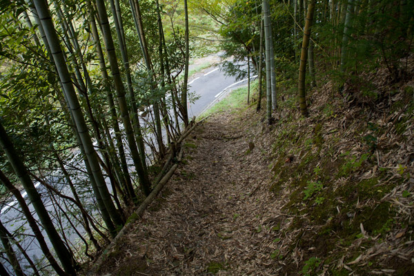 再び県道と交差しながらいきます。