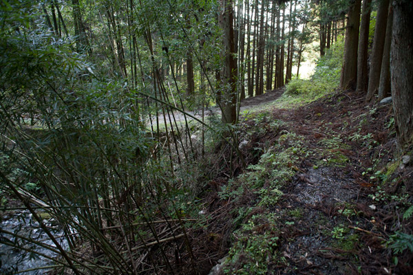 龍馬岩の次は男水自然公園へと向かいます。