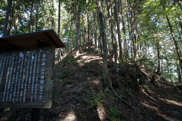 城の森。