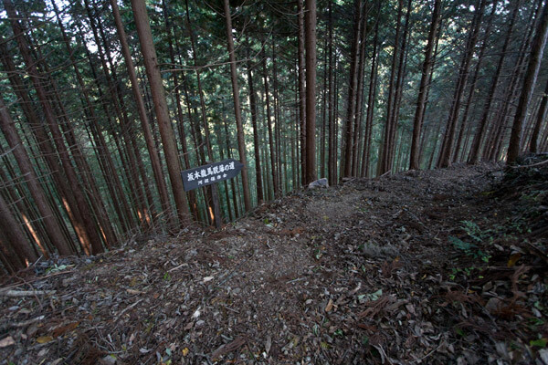 引き続き、ありがたい脱藩の道標。