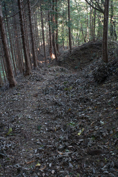 山道。回復しきれない脚の痛み。