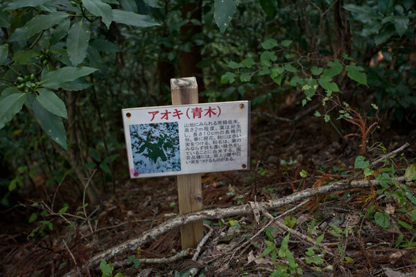 道々にあった植物の案内板。とてもいいです。