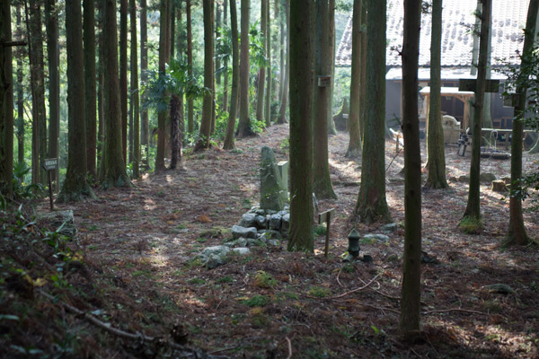 泉ヶ峠がみえてきました。