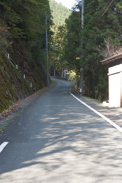 山に入っていきます。