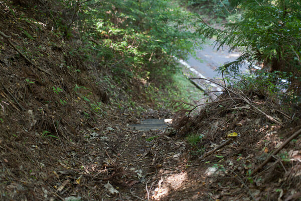 封事ヶ峠を越え、舗装道路と交差しながら進みます。1時36分。