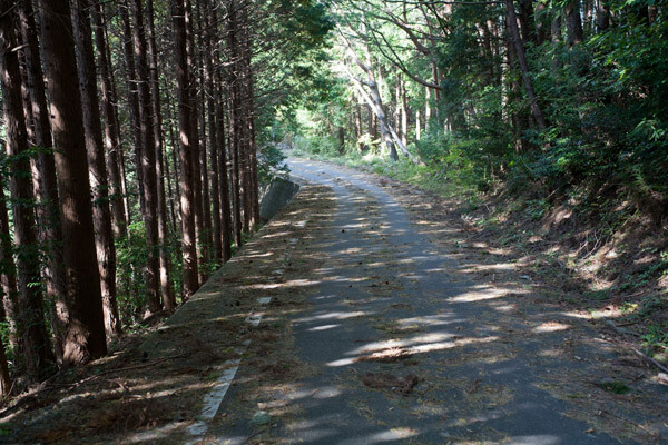 封事ヶ峠を越え、舗装道路と交差しながら進みます。1時13分。