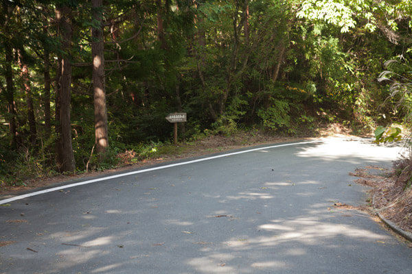 封事ヶ峠を越え、舗装道路と交差しながら進みます。1時16分。