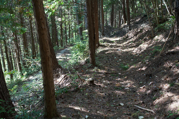 山道へ。