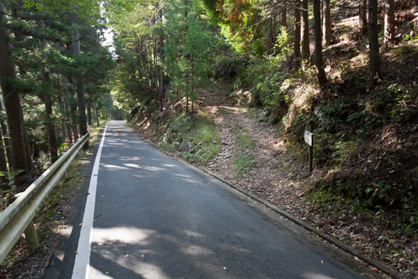 2時33分、三杯谷の滝を後にし、泉ヶ峠に向けて出発します。