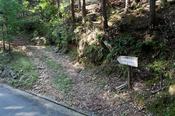 しばらく、舗装道路と林道、山道を交差しながら進みます。