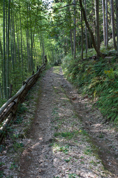しばらく、舗装道路と林道、山道を交差しながら進みます。