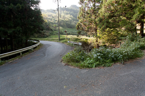 しばらく、舗装道路と林道、山道を交差しながら進みます。