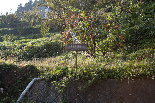 道を見失ったものの、地元の方に助けていただき、脱藩の道標まで戻ってきました。