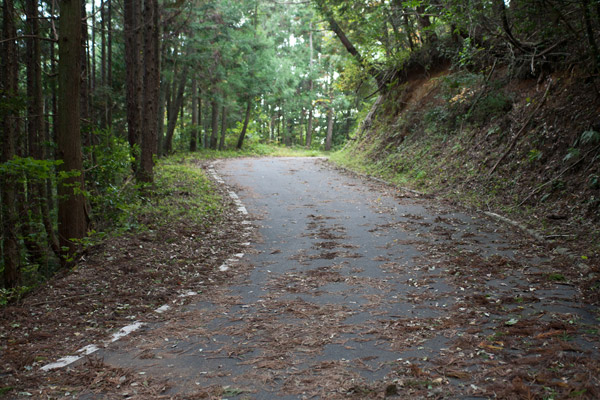 泉ヶ峠に向かいます。