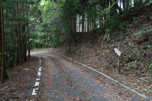 泉ヶ峠に向かいます。3時44分。
