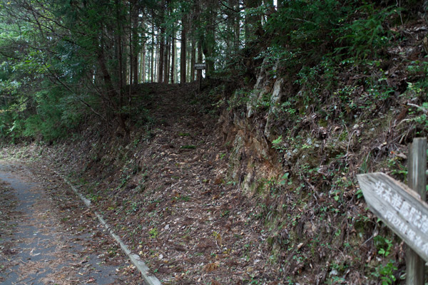 泉ヶ峠に向かいます。3時44分。