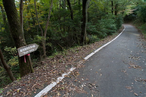 泉ヶ峠に向かいます。3時53分。