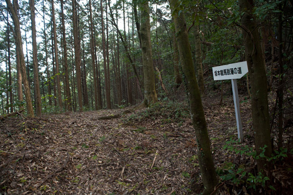 泉ヶ峠から旧宿間村(亀ノ甲)へ。