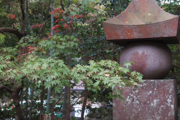 平成28年(2016年)11月16日の報国寺