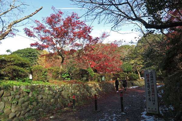 平成28年(2016年)11月25日、源氏山の紅葉。